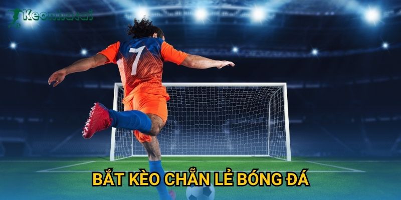 Bắt kèo chẵn lẻ bóng đá Keonhacai – Mẹo cược dễ hiểu cho người mới 1 Bắt kèo chẵn lẻ bóng đá Keonhacai – Mẹo cược dễ hiểu cho người mới