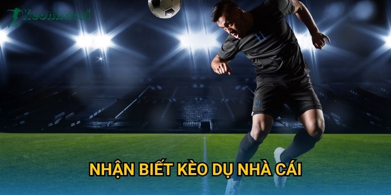 Nhận biết kèo dụ nhà cái Keonhacai – Tránh bẫy kèo và tối ưu lợi nhuận 1 Nhận biết kèo dụ nhà cái Keonhacai – Tránh bẫy kèo và tối ưu lợi nhuận