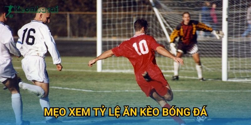 Mẹo xem tỷ lệ ăn kèo bóng đá Keonhacai – Hướng dẫn đọc odds nhanh 1 Mẹo xem tỷ lệ ăn kèo bóng đá Keonhacai – Hướng dẫn đọc odds nhanh